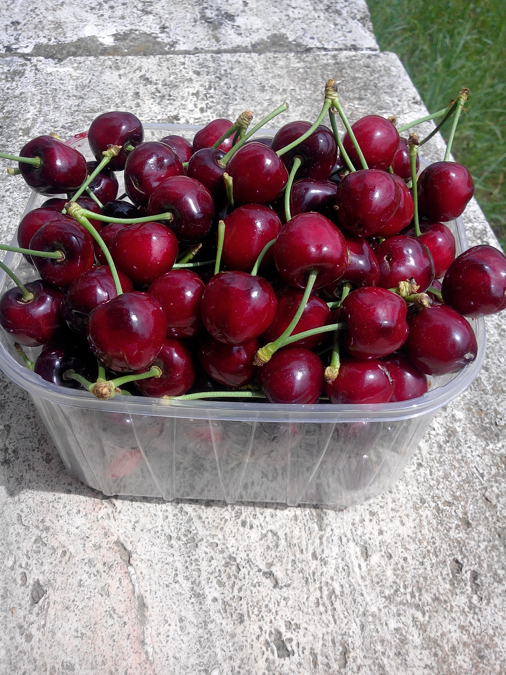 ciliege produzione propria 500 g