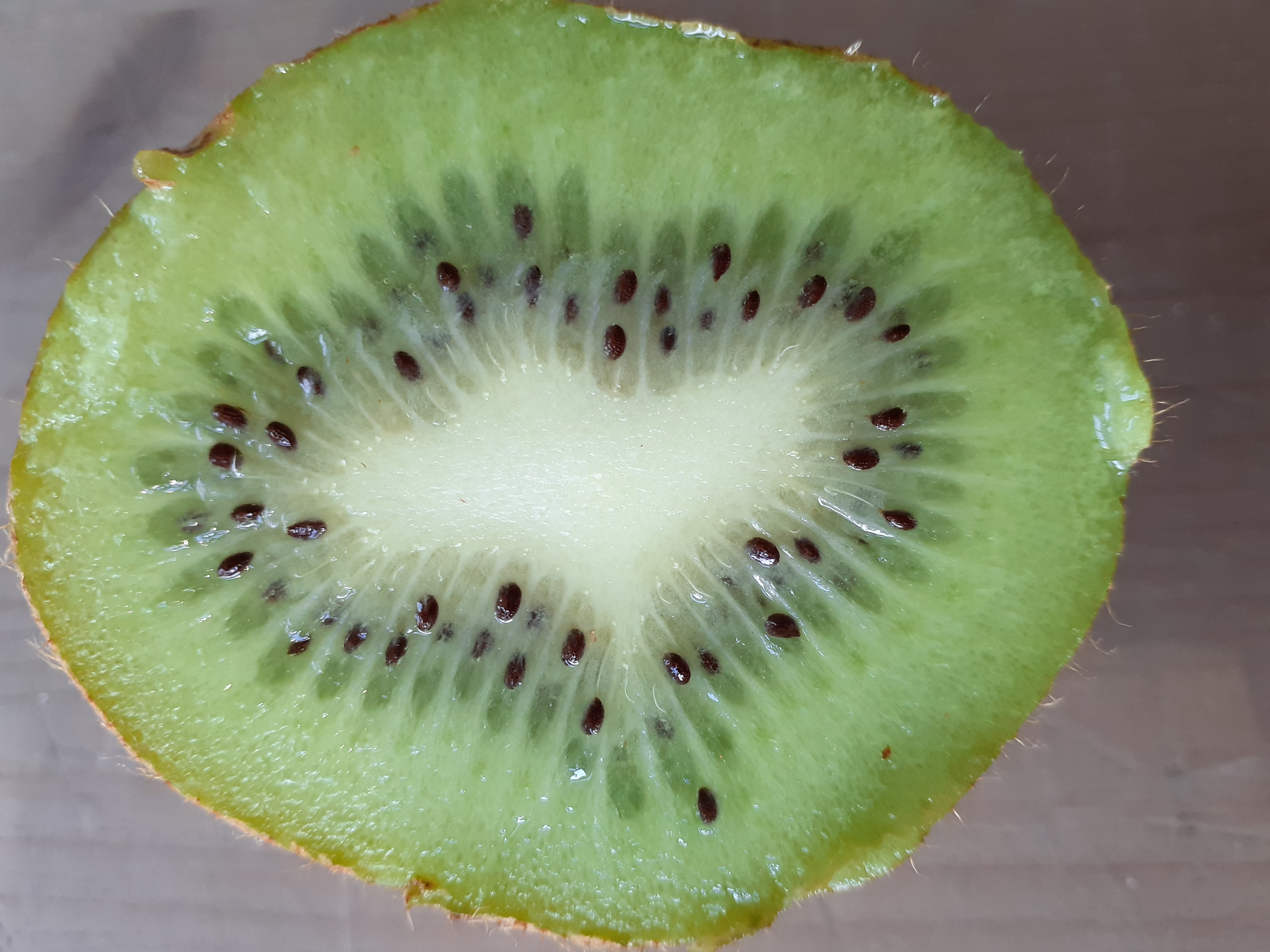 kiwi-4.jpg